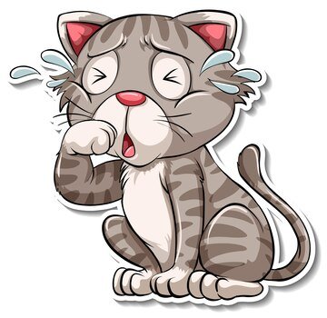 2021 sarctic cat riot coolant leak