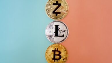 biitland.com crypto